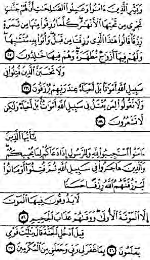 The Arabic text of the verses quoted in this section.